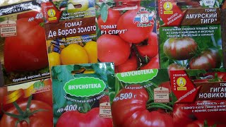 Самые высокоурожайные сорта томатов