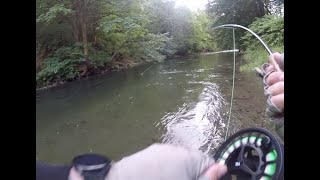 HUGE trout on the swing  Washington State near Seattle