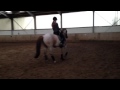 Daisy Diamond Training