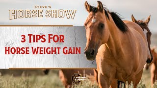 3 Tips for Horse Weight Gain screenshot 4