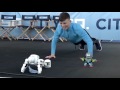 UBTECH Robotics’ Alpha 1 and Meebot challenge a young Man City fan to a push-up challenge!