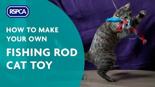 cat toy rod