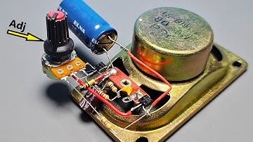 DIY Bird Sound Doorbell with Adjustable Speed ​​Using Basic Parts