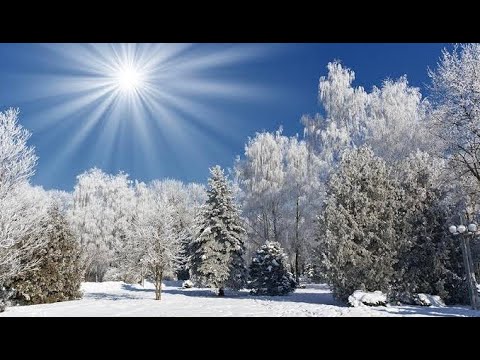 Михайло Федько Падав білий сніг