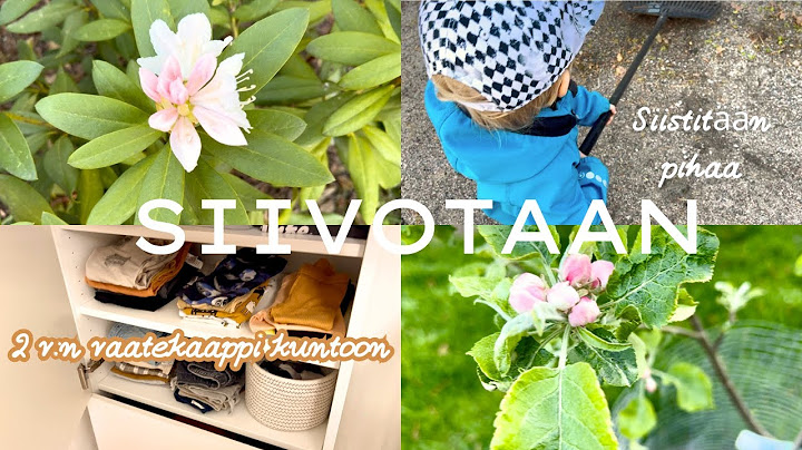 SIIVOTAAN | Operaatio 2v:n vaatekaappi ja pihan siistimistä
