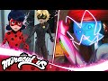 ميراكولوس | 🐞 ملكة السّبق - الإصابة بالأكوما 🐞 | قصص الفتاة الدعسوقة و القط الأسود