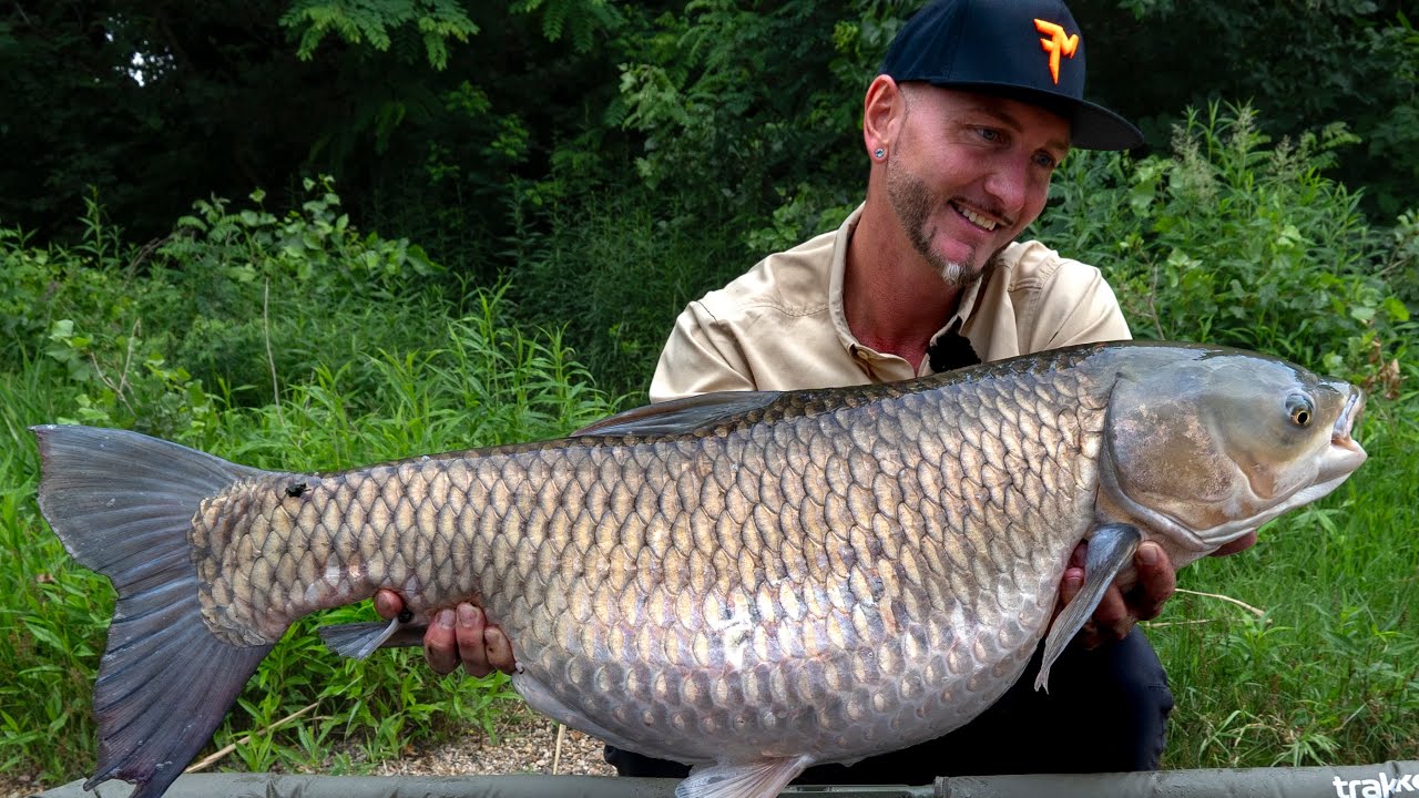 FEEDERMANIA- Így úszózom én 2. rész Úsztatás a Dunán algával, amurra.