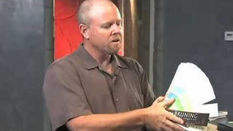 Concrete Floor Design Inspiration