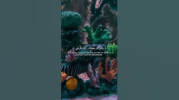راحة القلب: تلاوة خاشعة من سورة الضحى! 💖