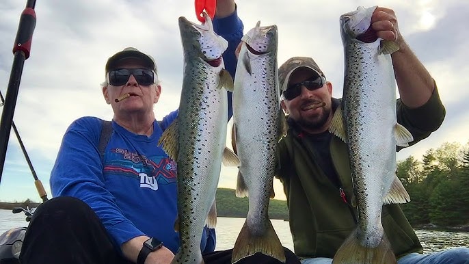 Lake Trout at Quabbin Reservoir 