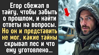 видео: В глухой тайге Егор наткнулся на след из прошлого. Заглянув внутрь избушки, он испытал настоящий шок картинка: В глухой тайге Егор наткнулся на след из прошлого. Заглянув внутрь избушки, он испытал настоящий шок
