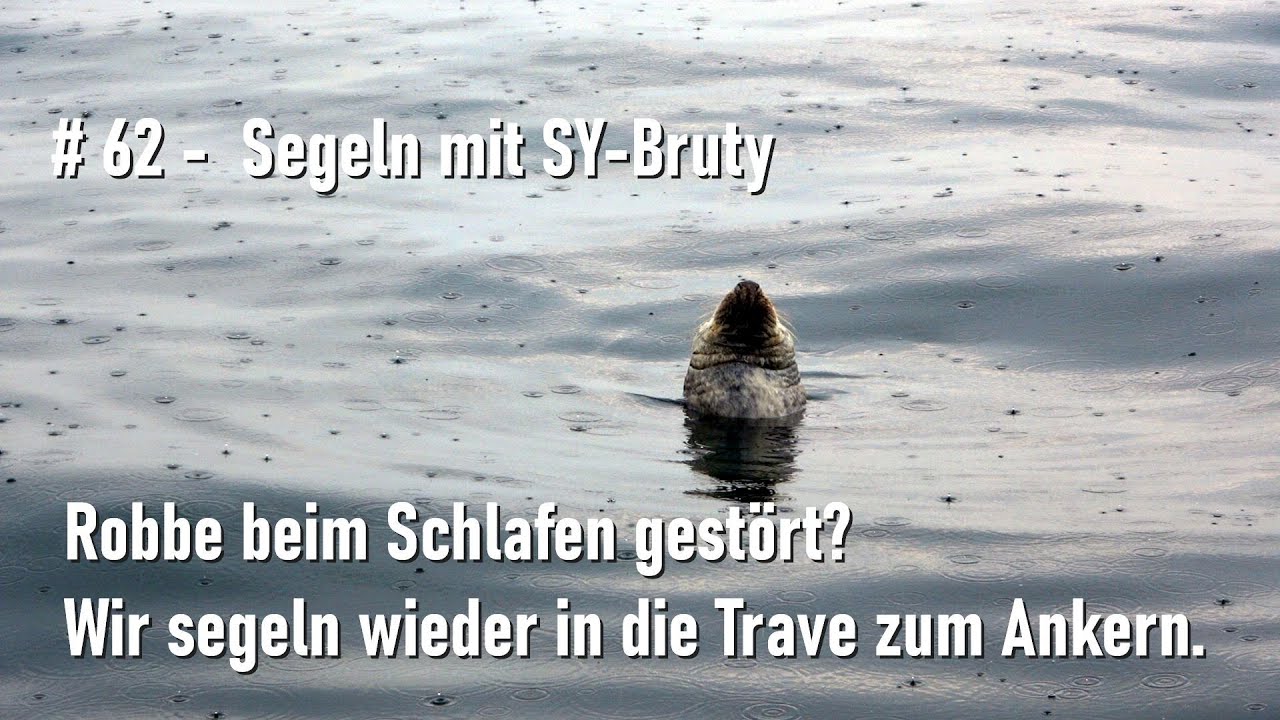 ⁣# 62 - Segeln mit SY-Bruty - Robbe beim Schlafen gestört? Von Neustadt in die Trave zum Ankern!
