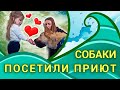 Четвероногие друзья посетили приют / Дети и собаки