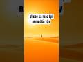 Vì sao sa mạc lại nóng đến vậy