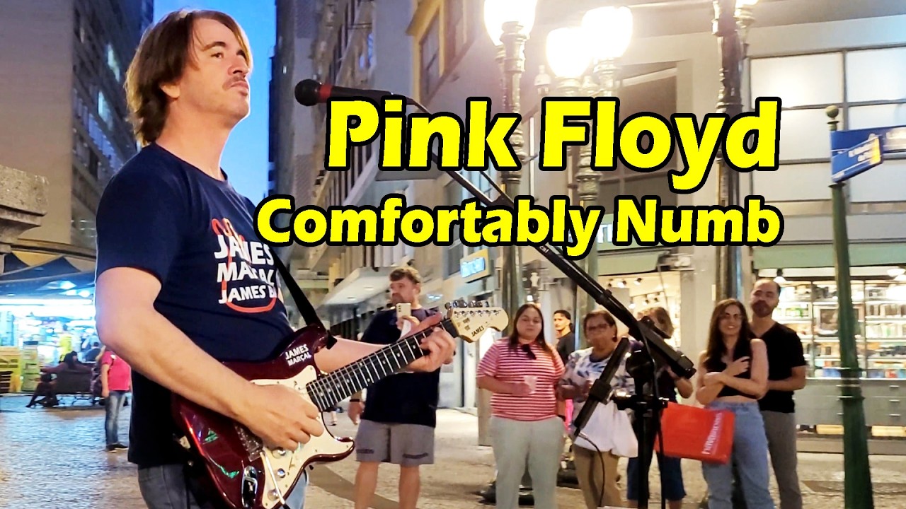This Guitar Solo Stopped People on the Street | Comfortably Numb – Pink Floyd