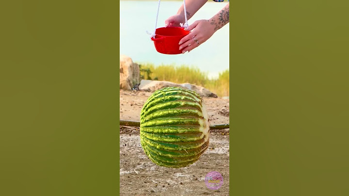 Cooking a wild cactus for a delicious meal 🌵 Listen to "Abarass, Exact - Breaking The Rules"
