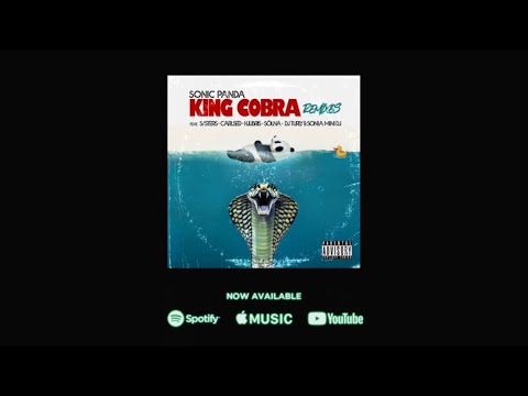 Sonic Panda - King Cobra (S/STERS OI Remix)