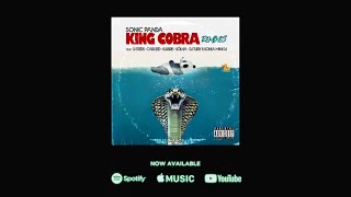 Download Lagu Sonic Panda - King Cobra (S/STERS OI Remix) MP3