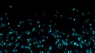 Logo Particle Test