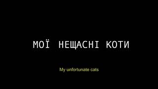Watch My Unfortunate Cats Trailer