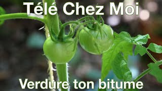 Verdure ton bitume - Télé Chez Moi