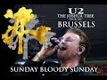 U2 Sunday Bloody Sunday - Brussels, Belgium 2017 Multicam HD