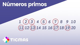 NÚMEROS PRIMOS DEL 1 AL 100: ¿qué es un número primo?