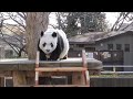 2023/02/11　初登頂から下山まで
