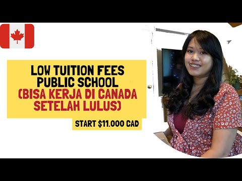 Video: Hibah Untuk Belajar Di Kanada Untuk Saintis Muda: International Doctoral Fellowship