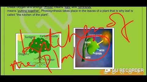 Grade 2 EVS Dated 10 08 2021 1