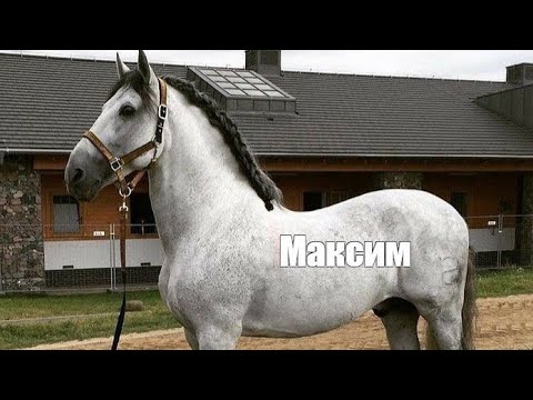 ОГГІ І ПІНГВІН ПОРОРО ВИЖИВАЮТЬ В БУТИЛЦІ!!! САМИЙ НАЙКРУТІШИЙ ЛЕТСПЛЕЙ ...