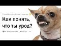 КАК ПОНЯТЬ, ЧТО ТЫ УРОД?