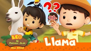 Menunggangi LLAMA di GUNUNG YANG BERBAHAYA?! 🦙 | 30 MENIT | Leo Si Penjaga Alam | Kartun Anak-anak