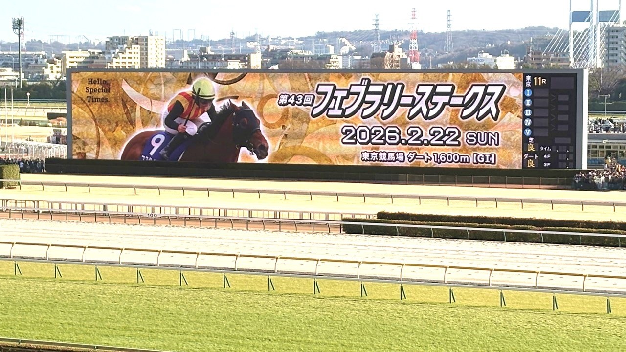 2026年 フェブラリーステークス | コスタノヴァ | ウィルソンテソーロ | ダブルハートボンド | 現地レース映像 | 東京競馬場 | スマシ観戦 | ダート1,600