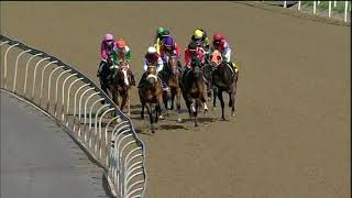 Vidéo de la course PMU PRIX TRACK & BALL GAMING MAIDEN PLATE