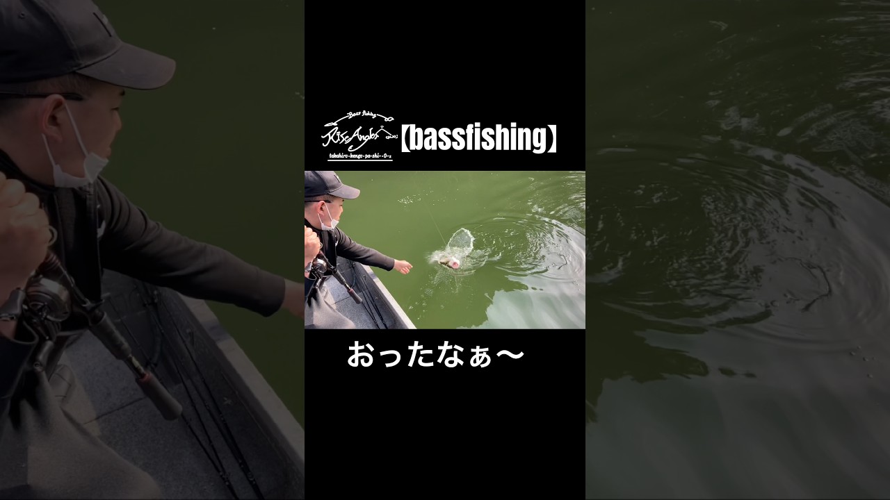 Bassfishing】おったなぁ〜#バス釣り #fishing #bassfishing #cover