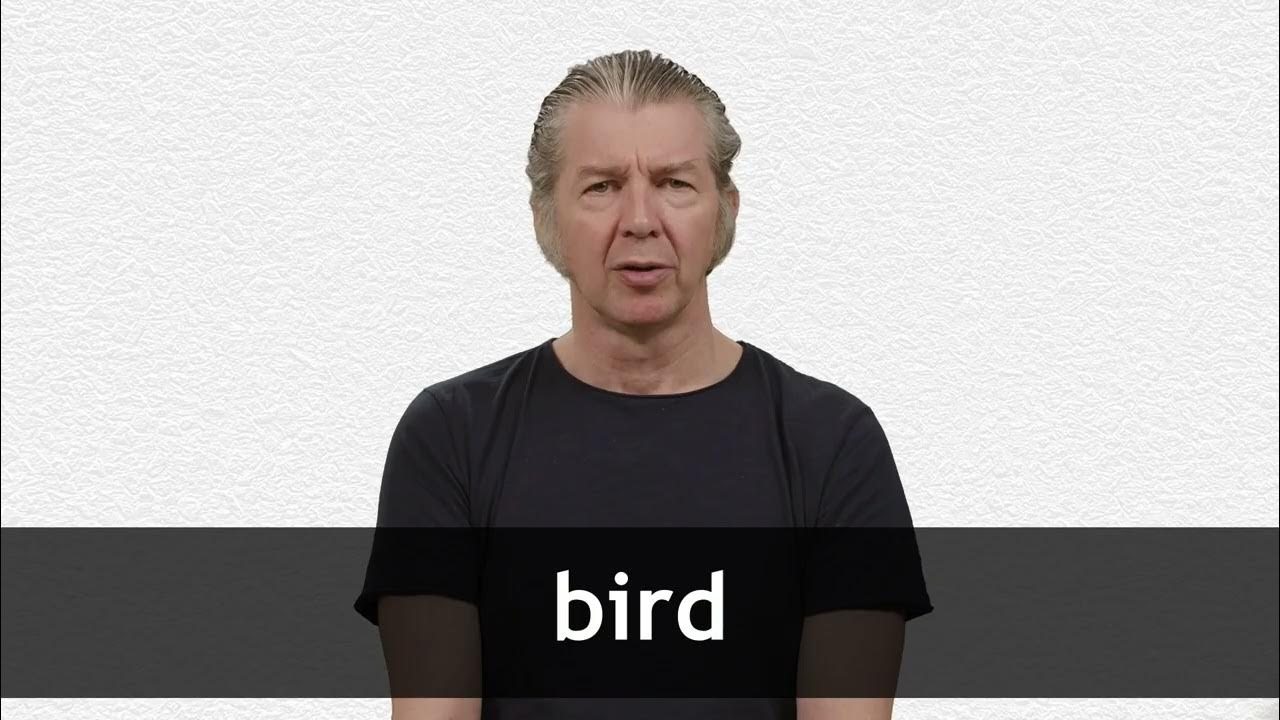 How To Pronounce BIRD In American English YouTube how-to-pronounce-bird-youtube