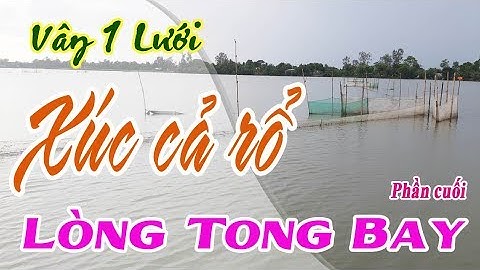 Bắt cá mùa nước nổi, kéo lưới bắt cá trên đồng đầy nước (Phần cuối) [Sông nước miền tây tv]
