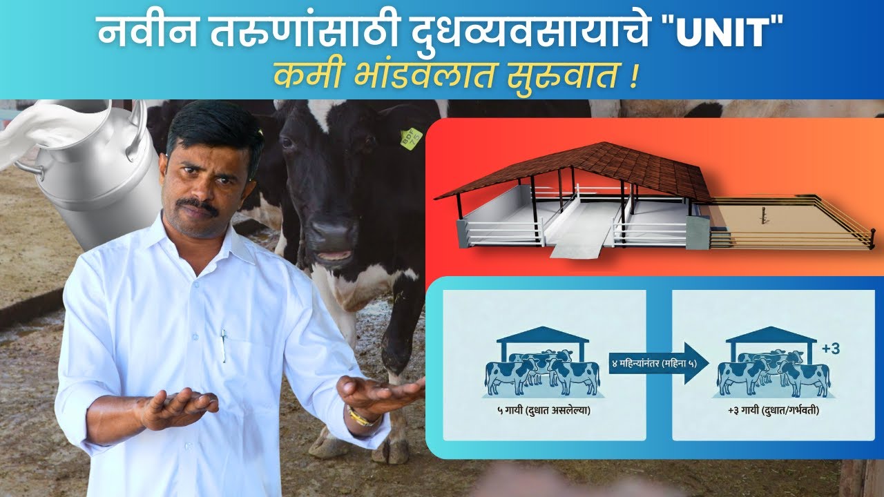 नवीन तरुणांसाठी दुधव्यवसायाचे 
