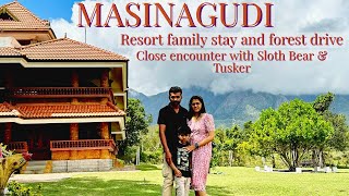 Family Resort Stay  & Road trip | Masinagudi | #AVADALE #masinagudi #bandipurforest #bestresorts