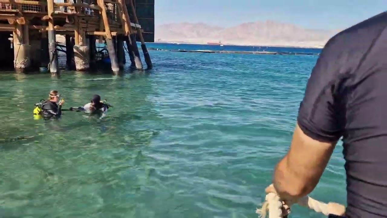 Familienausflug zum Dolphin Reef, Eilat, Israel