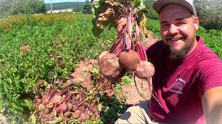 Preventing Crop Damage in 2026 With New Methods