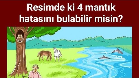 Resimde ki Mantık hatalarını bulabilir misin ?