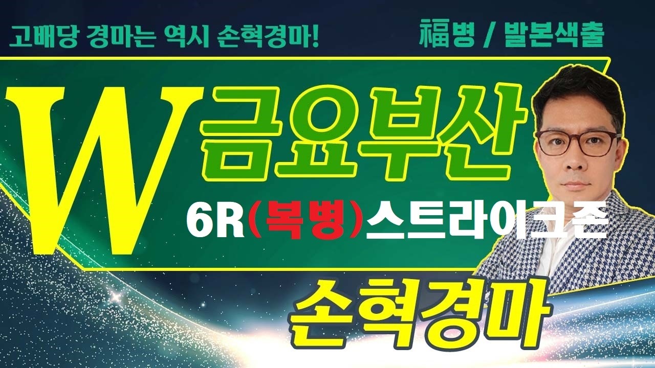 고배당 경마는 역시 손혁 경마 2/13(금)부산 복병마 내용을 확인해 보세요!!