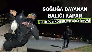 Download Lagu TABANDA ZIPLATINCA BAKIN NELER OLUYOR? SİLİKON KURTLA BALIK AVI MP3