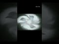 Short video ML BB