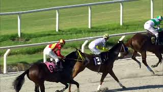 Vidéo de la course PMU PRIX HOMILY (2016)