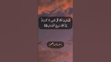 سورة ابراهيم الآية ٤٩ الى ٥٢ بصوت الشيخ محمد صديق المنشاوي