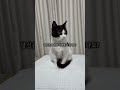 언제까지나 행복하자
