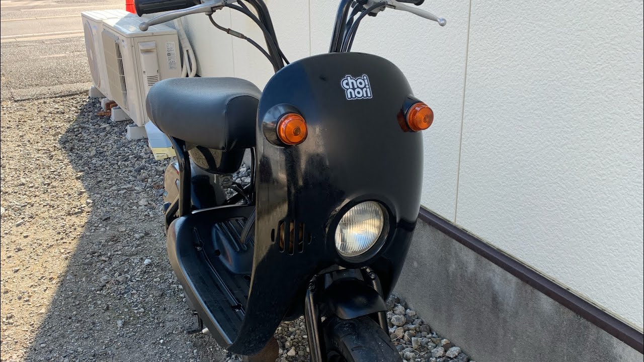 スズキチョイノリ SUZUKI CHOI NORI 